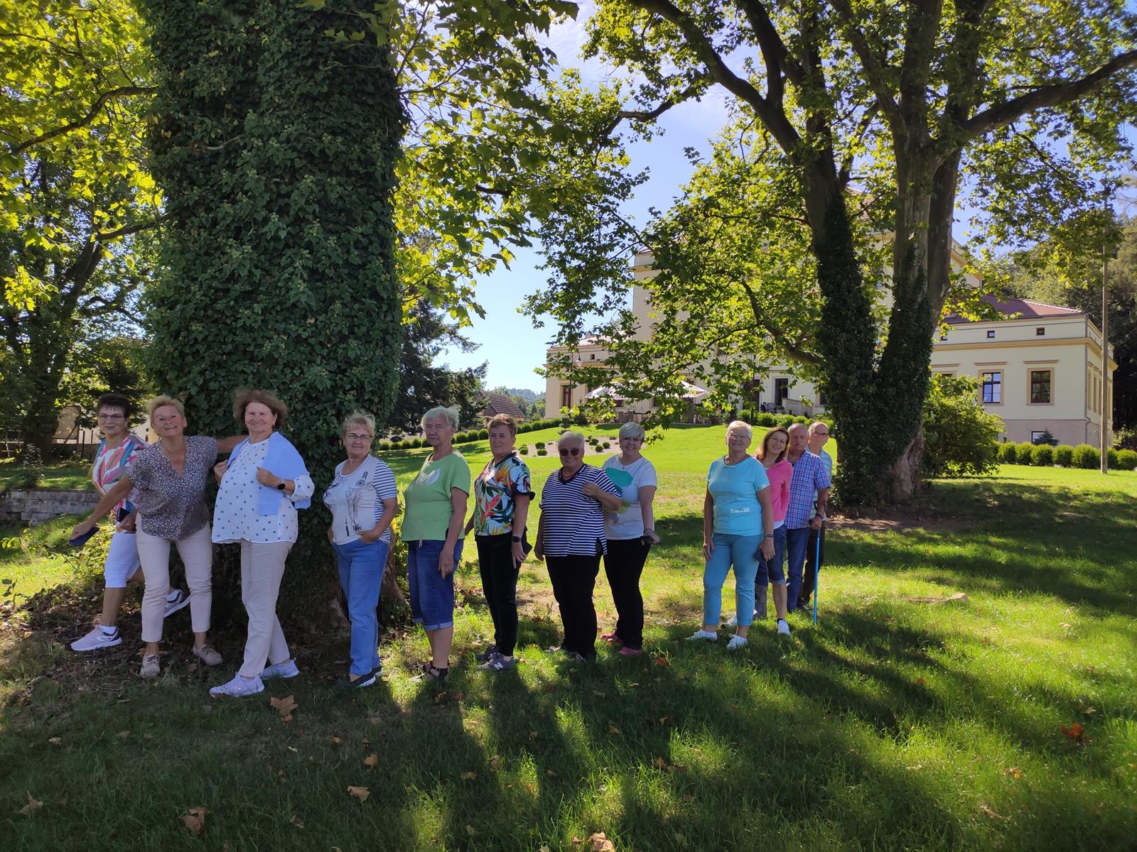 Cyfrowe Rady Seniorów