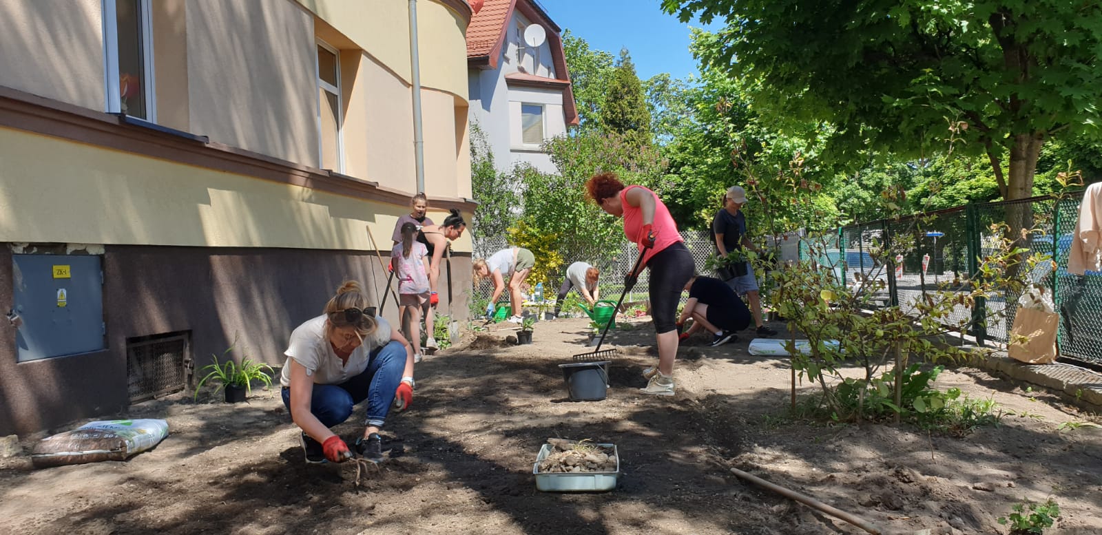 Zielono-niebieska inicjatywa w Chojnowie